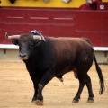 Feria de la Magdalena 2014