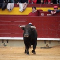 Feria de la Magdalena 2014