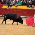 Feria de la Magdalena 2014