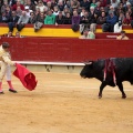 Feria de la Magdalena 2014