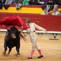 Feria de la Magdalena 2014