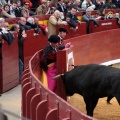 Feria de la Magdalena 2014