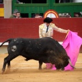 Feria de la Magdalena 2014