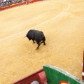 Feria de la Magdalena 2014