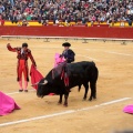 Feria de la Magdalena 2014