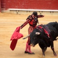 Feria de la Magdalena 2014