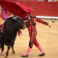 Feria de la Magdalena 2014