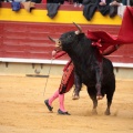 Feria de la Magdalena 2014