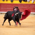 Feria de la Magdalena 2014