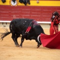 Feria de la Magdalena 2014