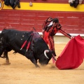 Feria de la Magdalena 2014