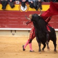 Feria de la Magdalena 2014