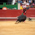 Feria de la Magdalena 2014