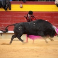 Feria de la Magdalena 2014