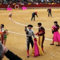 Feria de la Magdalena 2014