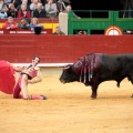 Feria de la Magdalena 2014