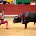 Feria de la Magdalena 2014