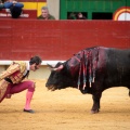 Feria de la Magdalena 2014