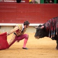 Feria de la Magdalena 2014