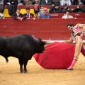 Feria de la Magdalena 2014