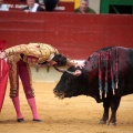 Feria de la Magdalena 2014