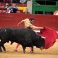 Feria de la Magdalena 2014