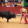 Feria de la Magdalena 2014