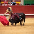 Feria de la Magdalena 2014