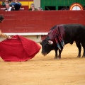 Feria de la Magdalena 2014