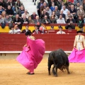 Feria de la Magdalena 2014