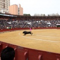 Feria de la Magdalena 2014