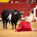 Feria de la Magdalena 2014