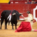 Feria de la Magdalena 2014