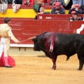 Feria de la Magdalena 2014