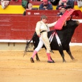 Feria de la Magdalena 2014