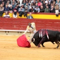 Feria de la Magdalena 2014