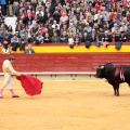 Feria de la Magdalena 2014