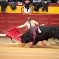 Feria de la Magdalena 2014