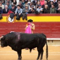 Feria de la Magdalena 2014