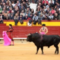 Feria de la Magdalena 2014