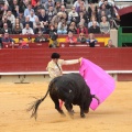 Feria de la Magdalena 2014