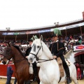 Feria de la Magdalena 2014