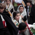 Ofrenda de flores