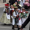 Ofrenda de flores