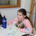 Una nit a la biblioteca