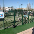 Campeonato absoluto padel
