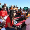 Campeonato absoluto padel