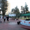 Campeonato absoluto padel