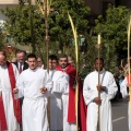 Domingo de Ramos