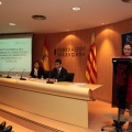 Castellón, 2014